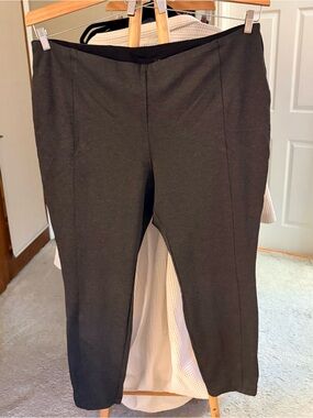 Dahlia Ankle-Length Pull-On Pants in Charcoal Gray - Women 22